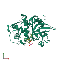 PDB entry 2yj9 coloured by chain, front view.