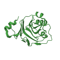 The deposited structure of PDB entry 2yjt contains 3 copies of CATH domain 3.50.30.40 (Glucose Oxidase; domain 1) in Regulator of ribonuclease activity A. Showing 1 copy in chain A.