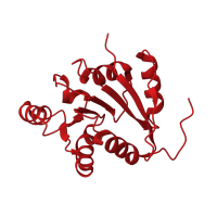 The deposited structure of PDB entry 2yjt contains 1 copy of CATH domain 3.40.50.300 (Rossmann fold) in ATP-dependent RNA helicase SrmB. Showing 1 copy in chain D.