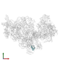 Small ribosomal subunit protein bS18 in PDB entry 2ykr, assembly 1, front view.