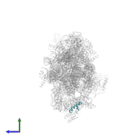 Small ribosomal subunit protein bS18 in PDB entry 2ykr, assembly 1, side view.