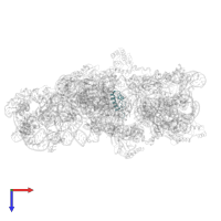 Small ribosomal subunit protein bS18 in PDB entry 2ykr, assembly 1, top view.