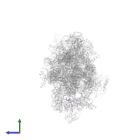 Small ribosomal subunit protein bS21 in PDB entry 2ykr, assembly 1, side view.