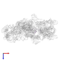 Small ribosomal subunit protein bS21 in PDB entry 2ykr, assembly 1, top view.