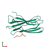 PDB entry 2ymt coloured by chain, front view.