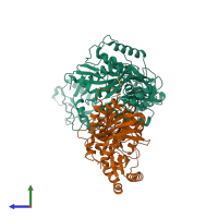 Hetero dimeric assembly 1 of PDB entry 2ynf coloured by chemically distinct molecules, side view.