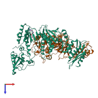Hetero dimeric assembly 1 of PDB entry 2ynf coloured by chemically distinct molecules, top view.