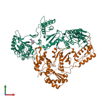 PDB entry 2ynf coloured by chain, front view.