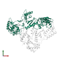 Reverse transcriptase/ribonuclease H in PDB entry 2ynf, assembly 1, front view.