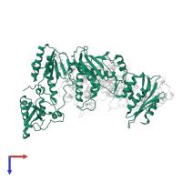 Reverse transcriptase/ribonuclease H in PDB entry 2ynf, assembly 1, top view.