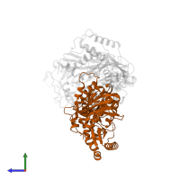 p51 RT in PDB entry 2ynf, assembly 1, side view.