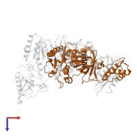 p51 RT in PDB entry 2ynf, assembly 1, top view.