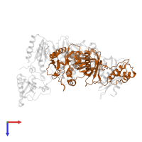 p51 RT in PDB entry 2ynh, assembly 1, top view.