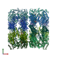 PDB entry 2ynj coloured by chain, front view.