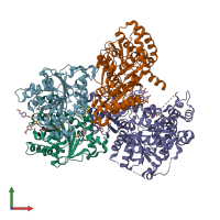 PDB entry 2ynm coloured by chain, front view.