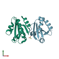 PDB entry 2ynx coloured by chain, front view.