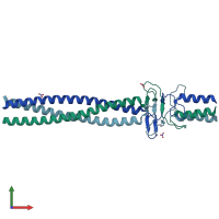 PDB entry 2ynz coloured by chain, front view.