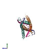 Hetero tetrameric assembly 1 of PDB entry 2ypb coloured by chemically distinct molecules, side view.