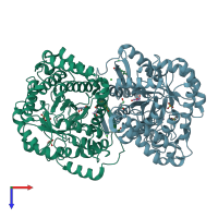 PDB entry 2ypp coloured by chain, top view.