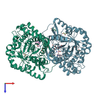 PDB entry 2ypq coloured by chain, top view.