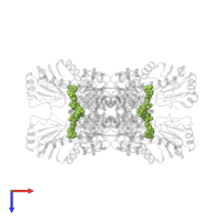 NICOTINAMIDE-ADENINE-DINUCLEOTIDE in PDB entry 2yq5, assembly 1, top view.