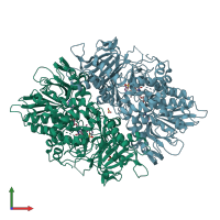 PDB entry 2yr5 coloured by chain, front view.
