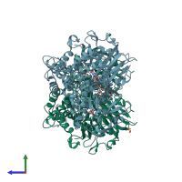 PDB entry 2yr5 coloured by chain, side view.