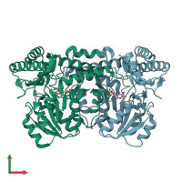 PDB entry 2yri coloured by chain, front view.
