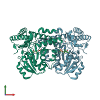 PDB entry 2yrr coloured by chain, front view.