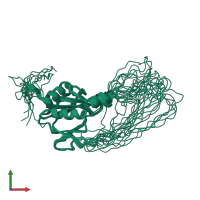 PDB entry 2yt1 coloured by chain, ensemble of 20 models, front view.