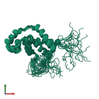 PDB entry 2yuf coloured by chain, ensemble of 20 models, front view.