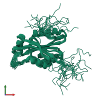 PDB entry 2yui coloured by chain, ensemble of 20 models, front view.