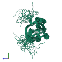 PDB entry 2yui coloured by chain, ensemble of 20 models, side view.