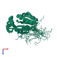 PDB entry 2yui coloured by chain, ensemble of 20 models, top view.