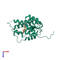 PDB entry 2yut coloured by chain, top view.