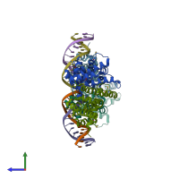 PDB entry 2yvh coloured by chain, side view.