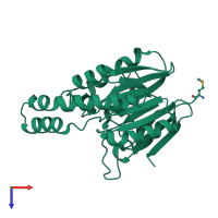 PDB entry 2yvt coloured by chain, top view.