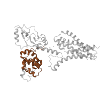 The deposited structure of PDB entry 2yvx contains 4 copies of Pfam domain PF03448 (MgtE intracellular N domain) in Magnesium transporter MgtE. Showing 1 copy in chain A.