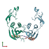 PDB entry 2yww coloured by chain, front view.