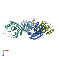 PDB entry 2yx6 coloured by chain, top view.