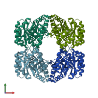 PDB entry 2yxg coloured by chain, front view.