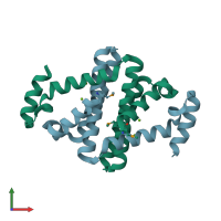 PDB entry 2yxh coloured by chain, front view.