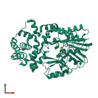 PDB entry 2yxl coloured by chain, front view.