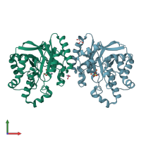 PDB entry 2yxo coloured by chain, front view.