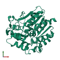 PDB entry 2yxp coloured by chain, front view.