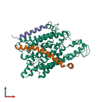 PDB entry 2yxq coloured by chain, front view.