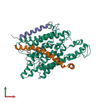 PDB entry 2yxr coloured by chain, front view.