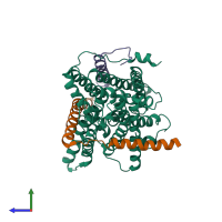 PDB entry 2yxr coloured by chain, side view.