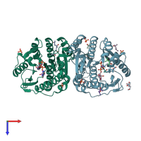 PDB entry 2yxu coloured by chain, top view.