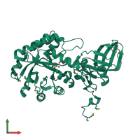 PDB entry 2yxx coloured by chain, front view.